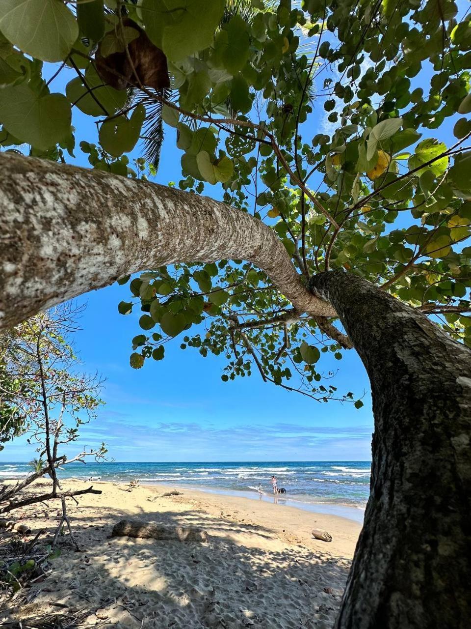 Caribbean Flow Puerto Viejo de Talamanca Esterno foto